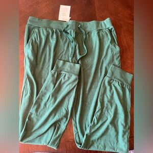 NWT Women’s Kyte Baby Forest Green Joggers